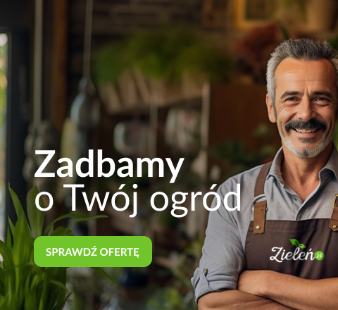 Zadbamy o Twój ogród